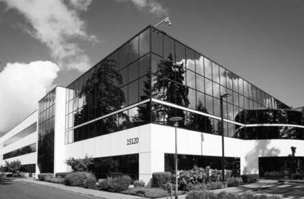 Acompanyament a empreses estrangeres