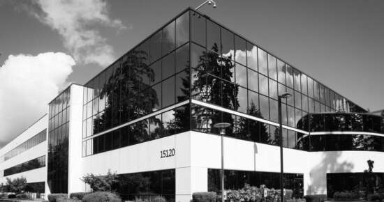 Acompanyament a empreses estrangeres